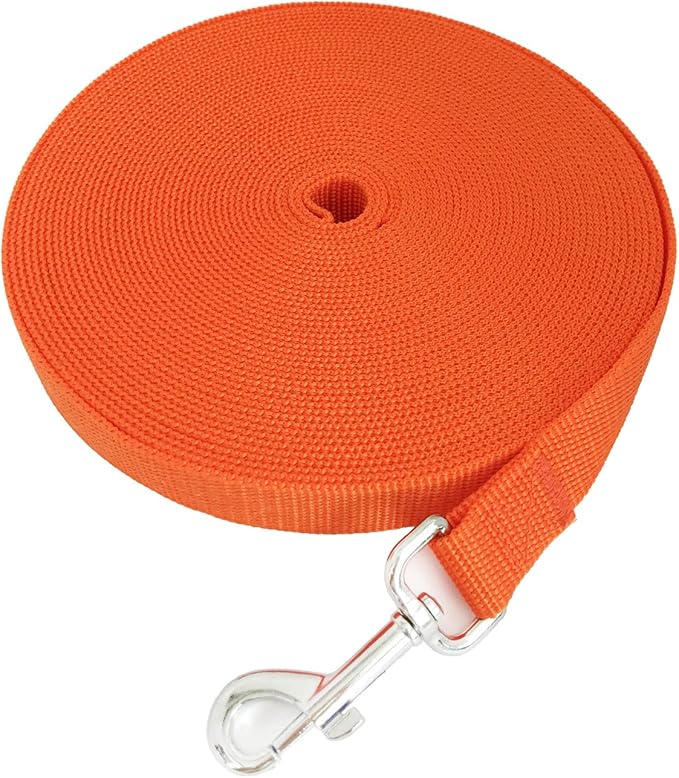 SALO Nylon Training Dog Leash for Small Medium Large Dogs, 1 Inch Wide, 20ft 30ft 40ft 50ft Long Leash Dog/Puppy Lead for Obedience Recall Training, Camping, or Backyard (30 Foot, Orange)