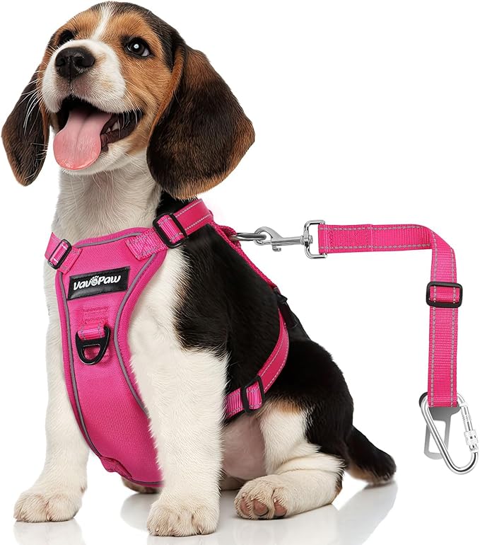 Dog Seat Belt Harness for Car, Dog Car Harness Adjustable Mesh Breathable & Dogs Seatbelt Safety Tether with Elastic Bungee for Small Medium Large Pets(Rose, S)