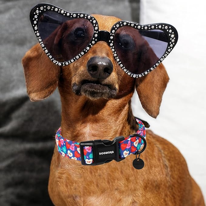 DOGWONG Valentine's Dog Collar - Blue Heart Chocolate, Multicolor - Small, Soft Cotton - Perfect for Small Dogs