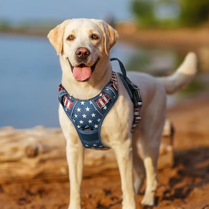rabbitgoo Dog Harness No Pull with 2 Leash Clips, Adjustable Soft Padded, Reflective Oxford No Choke Pet Vest with Easy Control Handle for Large Dogs, Blue Star, L