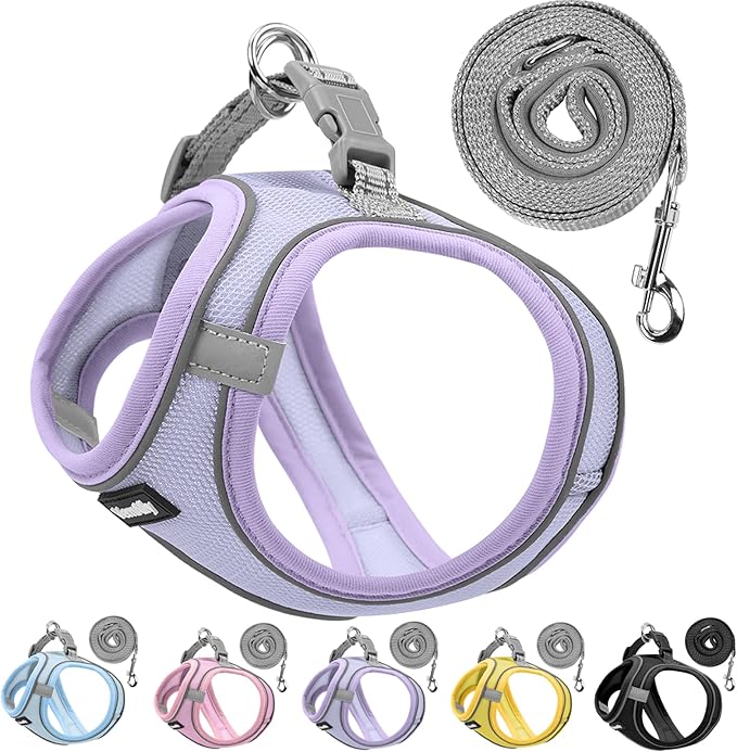 Sparkly Dog Harness Small Sized and Leash Set for Small Dogs Cats,Purple XXS Puppy Harness, Step in Soft Dog Reflective Vest, Breathable Mesh Pet Harness. (Purple, XXS)