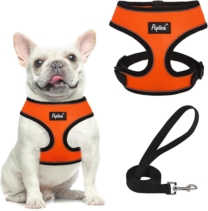 PUPTECK Soft Mesh Dog Harness and Leash Set Pet Puppy Cat Comfort Padded Vest No Pull Harnesses, Solid Orange, M