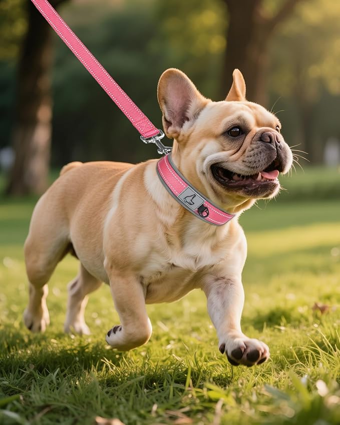 Joytale Dog Collar for Small Dogs, Neoprene Padded and Adjustable, Reflective Wide Heavy Duty Pet Collars with Durable Metal Belt Buckle for Walking, Pink, S