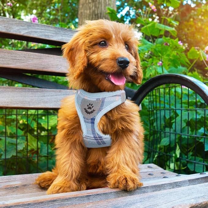 PUPTECK Adjustable Dog Harness Collar and Leash Set Step in No Pull Pet Harness for Small Medium Dogs Puppy and Cats Outdoor Walking Running, Soft Mesh Padded Reflective Vest Harnesses, Blue XL
