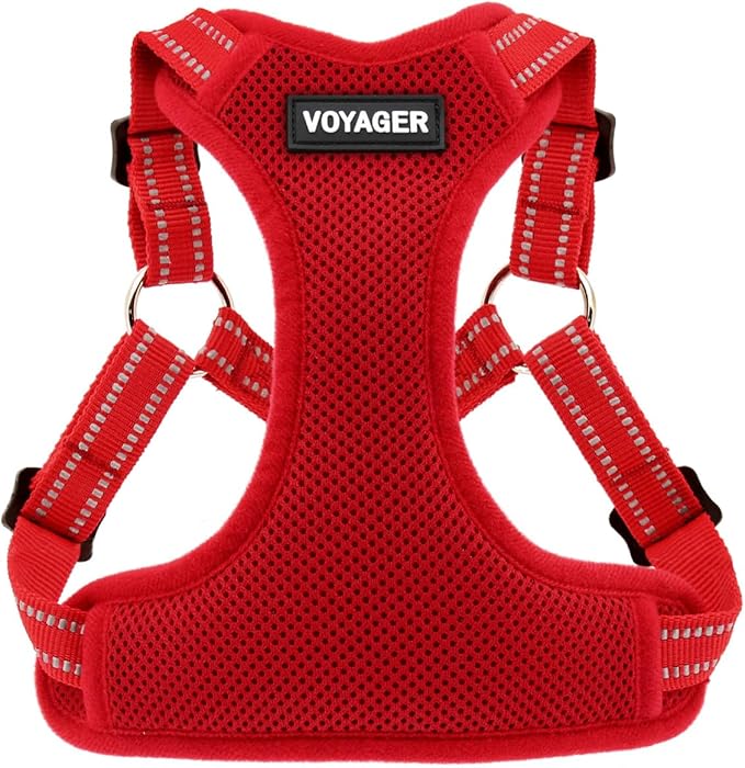 Best Pet Supplies Voyager Adjustable Step-in Flex Breathable Mesh Dog Harness for Small Medium Large Dogs (Red), XL