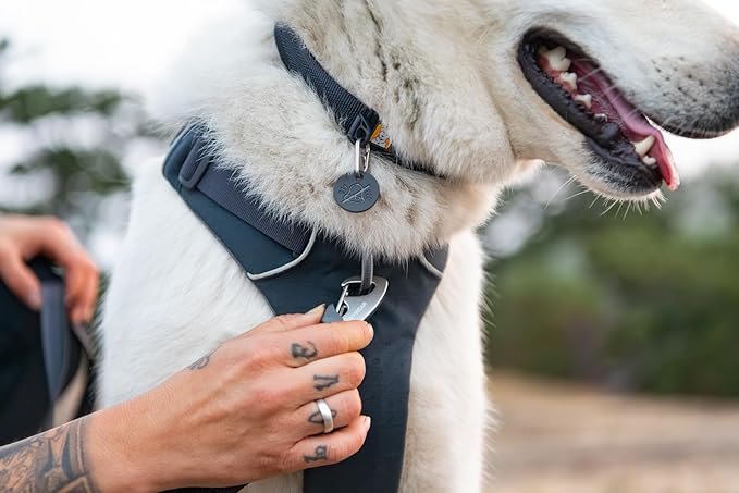 Ruffwear, Front Range Dog Collar, Adjustable Tubelok Webbing, Lightweight, Side Release Buckle, Aluminum V-Ring, Durable for Everyday Use, Red Canyon, 20"-26"