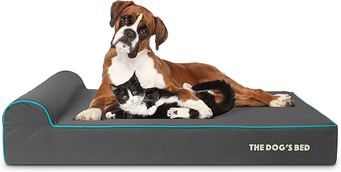 The Dog’s Bed Orthopedic Memory Foam Dog Bed with Headrest, Oxford Fabric, Grey with Blue Trim, XL, 6-Inch