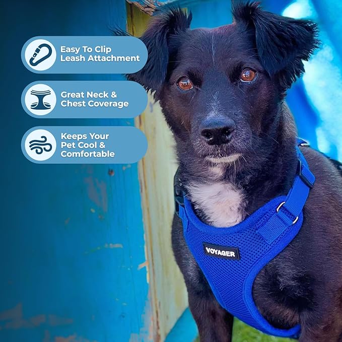 Voyager Step-in Pet Harness - All Weather Mesh, Adjustable Step in Harness for Cats and Dogs by Best Pet Supplies - Royal Blue, L