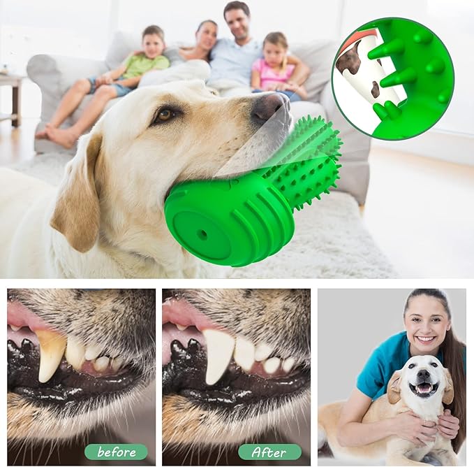 Dog Chew Toys Dog Toothbrush Stick Teeth Cleaning Brush Dental for Medium Large Dog, Puppy Christmas,Easter Birthday Gifts,Outdoor Squeaky Toys for Aggressive Chewers Tough Toys Interactive