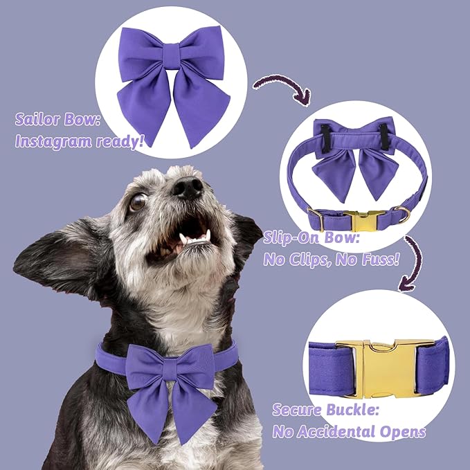 Maca Bates Purple Dog Collar with Cute Petunia Solid Sailor Bow Tie,Extra Small Girl Boy Dogs,Girly Adjustbale Durable Breakaway Soft Collars with Bowtie for Female Male Puppy,Pet with Metal Buckle