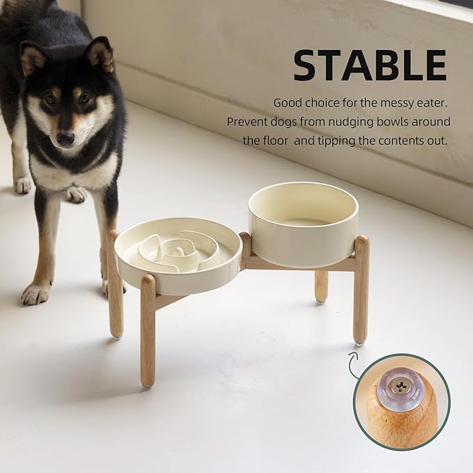 Ceramic Raised Slow Feeder Dog Bowl Set, Elevated 7.3inch Bowl and 8.2inch Puzzle Slow Dish with Wooden Stand for Medium and Large Dog, Anti-Gulping (2X Beige+ Stand)