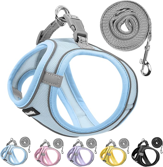 Sparkly Dog Harness Small Sized and Leash Set for Small Dogs Cats,Blue XXS Puppy Harness, Step in Soft Dog Reflective Vest, Breathable Mesh Pet Harness. (Blue, XXS)