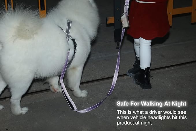 ECO-CLEAN Dog Leash for Large Dogs, Traffic Padded 2 Handles for Extra Control, 6 FT Long with Reflective Stitch for Night Walking (Purple)