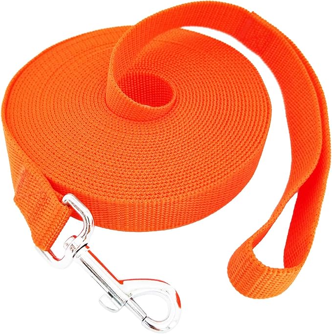 SALO Nylon Training Dog Leash for Small Medium Large Dogs, 1 Inch Wide, 20ft 30ft 40ft 50ft Long Leash Dog/Puppy Lead for Obedience Recall Training, Camping, or Backyard (30 Foot, Orange)