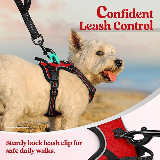 rabbitgoo Dog Harness No Pull with 2 Leash Clips, Adjustable Soft Padded, Reflective Oxford No Choke Pet Vest with Easy Control Handle for Puppy, Red,XS