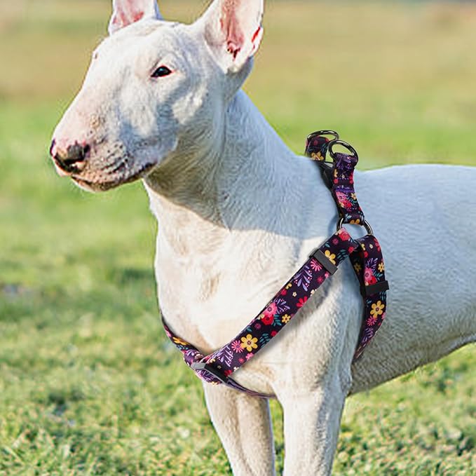 QQPETS Dog Harness Leash Set Adjustable Heavy Duty No Pull Halter Harnesses for Small Medium Large Breed Dogs Back Clip Anti-Twist Perfect for Walking