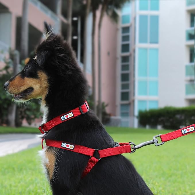 Pawtitas Solid Step-in Dog Harness – Adjustable No-Pull Vest for Puppies to Seniors, Safe & Comfortable XS Purple