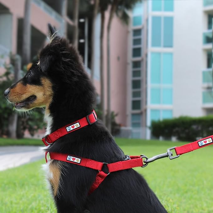 Pawtitas Solid Step-in Dog Harness – Adjustable No-Pull Vest for Puppies to Seniors, Safe & Comfortable XS Red