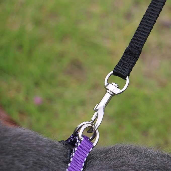 AMAGOOD 6 FT Cat Leash, Strong and Durable Traditional Style Leash with Easy to Use Collar Hook,Cat Lead Great for Cats (3/8 in x 6 ft,Black and Green(2-Pack))