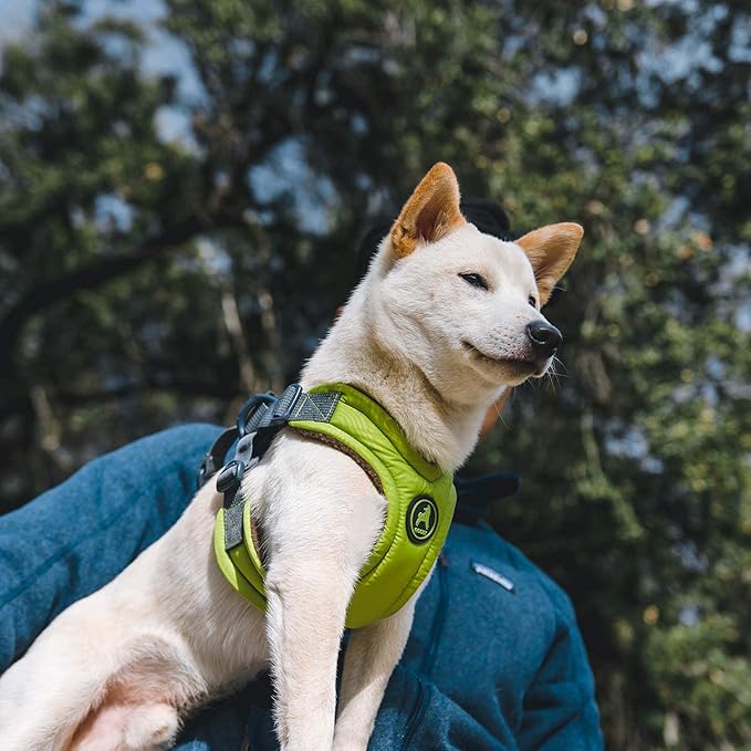Gooby Escape Free Memory Foam Harness - Green, Large - No Pull Step-in Small Dog Harness with Four Point Adjustment - Perfect on The Go Dog Harness for Medium Dogs No Pull and Small Dogs