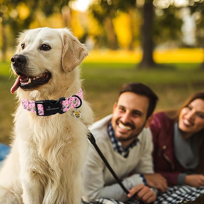 ARING PET Pink Dog Collar, Cute Yellow Bees Pet Collars for Puppy Small Medium Large Boy Girl Dogs-S