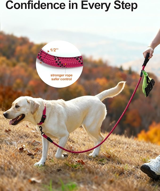 Joytale Dog Leash for Large Dogs, Heavy Duty Nylon Leashes with Comfortable Padded Handle and Highly Reflective Threads, Ideal for Walking and Training, Hotpink, 6'횞1/2''