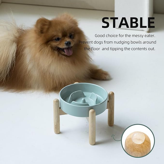 Ceramic 0.9 Cup Raised Dog Slow Feeder Set, Elevated Bowl with Wooden Stand for Small Dog and Cat, 6.1inch Puzzle Slow Dog Food Dish, Anti-Gulping(Light Green, Single Bowl+ Stand)