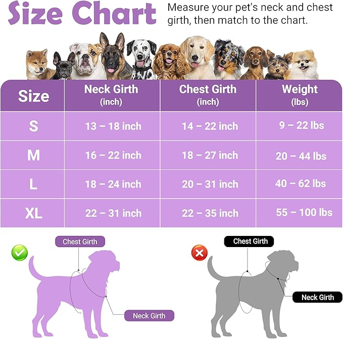 Funfox Dog Harness No Pull, Adjustable Pet Vest Harness, Super Soft Material with Vertical Handle Easy Control, Reflective Night Walking, 2 Leash Clips for Small Sized Dogs, Purple, S