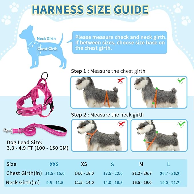 SlowTon No Pull Small Dog Harness and Leash Set, Puppy Soft Vest Harness Neck & Chest Adjustable, Reflective Lightweight Harness & Anti-Twist Pet Lead Combo for Small Medium Dogs (Fuchsia, XXS)