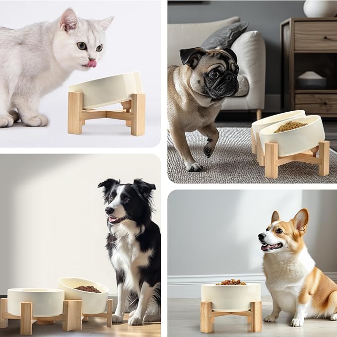 SPUNKYJUNKY 15° Slanted Ceramic Dog and Cat Bowl with Wooden Stand, Tilted Bulldog Food and Water Bowl No Slip Non-Spill for Cats Medium Dogs Big Face Pets 13.5 OZ (1.7 Cups, Beige × 2)