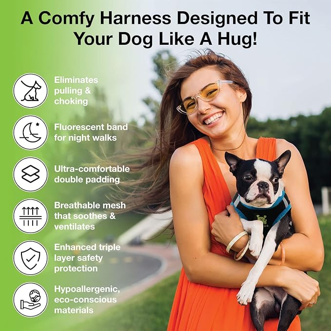 EcoBark Step in Dog Harness - Teacup Dog Harnesses for XXXS, XXS, XS and Small Dog Breeds - Reflective - Adjustable Mini Body Halter Vest - Tiny Soft Mesh Toy Breed (Black and Teal, XXXS)
