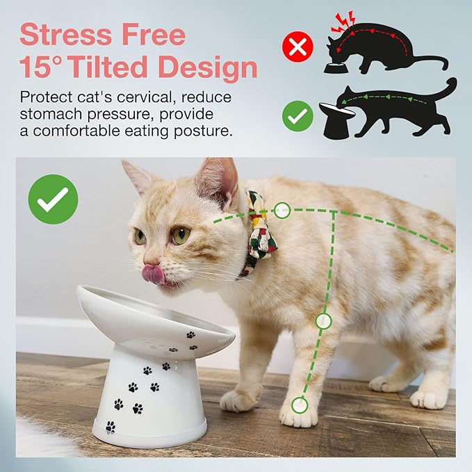 Necoichi Raised Cat Food Bowl – Ceramic Elevated 15° Tilted Cat Bowl for Whisker & Neck Fatigue, Dishwasher Microwave Safe Non-Slip Anti Vomiting Ergonomic Design (Extra Wide Tilted, 1.5-Cup Capacity)