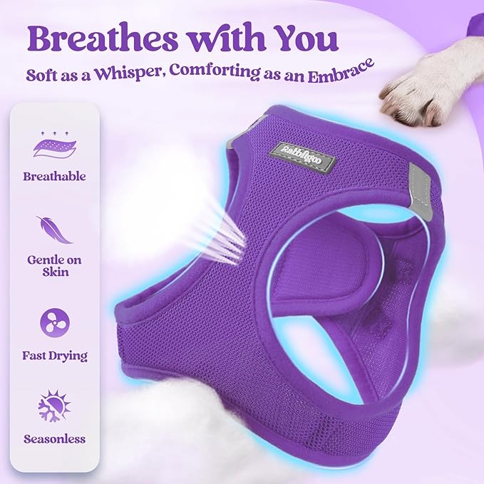 rabbitgoo Dog Harness Small Sized and Leash Set, Step in Soft Light Puppy Vest, Breathable Mesh Pet Harness, Reflective for Safe Outdoor Walking, Purple XS