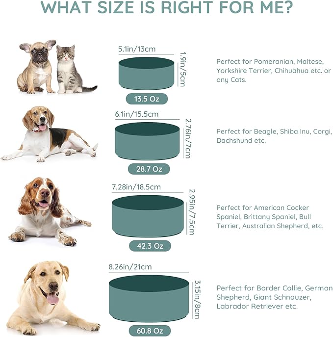 SPUNKYJUNKY 13.5OZ Ceramic Dog and Cat Bowl, Modern Cute Weighted Food Water Bowl for Replacement Light Green (2 Pack)