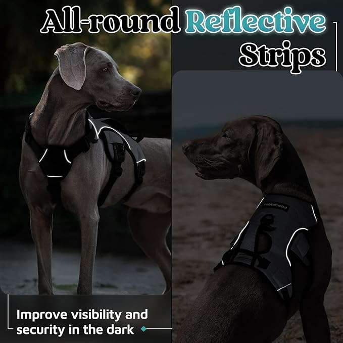 rabbitgoo Escape Proof Dog Harness, Soft Padded Full Body Pet Harness, Reflective Adjustable No Pull Vest with Lift Handle and Leash Clip for Large Dogs Walking Hiking Training, M, Grey