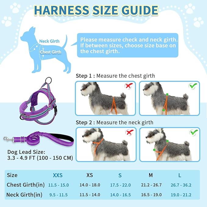SlowTon No Pull Small Dog Harness and Leash Set, Puppy Soft Vest Harness Neck & Chest Adjustable, Reflective Lightweight Harness & Anti-Twist Pet Lead Combo for Small Medium Dogs (PU-Front Clip, XXS)