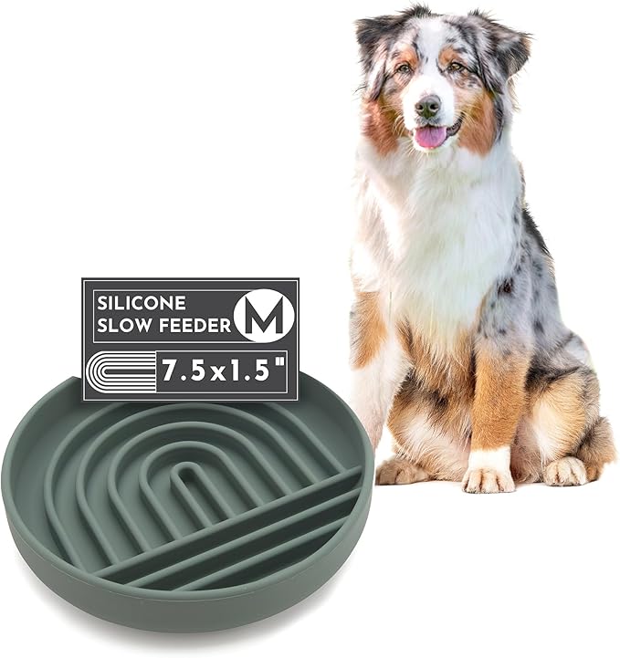 Should We Go? Slow Feeder for Dogs & Puppies, The Slowdown Bowl Silicone Slow Eating, Modern Lick Mat Design, Reduces Gulping, Fits 2 Cups, 7.5” Across x 1.5” Tall, Mealtime Challenge, Medium-Spruce