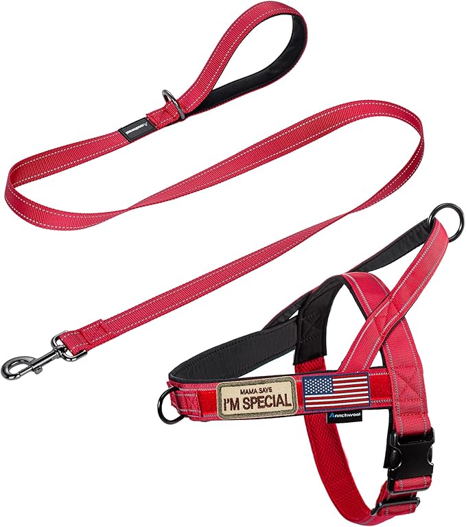 Annchwool No Pull Dog Harness with Padded Handle+5 Ft Leash,Reflective Strip Escape Proof and Quick Fit to Adjust Dog Harness,Easy for Training Walking for Small & Medium and Large Dogs(Red-Set,S)