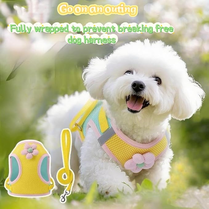Floral Mesh Dog Harness with Matching Leash, Lightweight Pet Vest,Suitable for Small and Medium-Sized Cats and Dogs to Wear，Pink/Yellow (Yellow, L:16-20lbs)