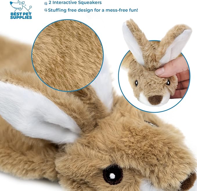 Best Pet Supplies Interactive Squeaky Dog Chew Toy, Ideal Dog Toys for Chewers, Small, Medium & Large Dogs, and Fetch Lovers - Pack of 4 (Various Style-Color), Large