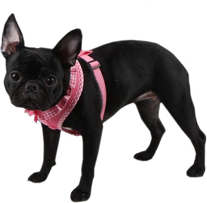 Authentic Puppia Vivien Harness, Pink, Medium