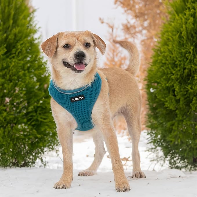 Voyager Aerolite Over The Head Dog Harness, No Pull Breathable Air Mesh Vest, Quick Dry with Reflective Stitching, Adjustable Escape Resistant Harness for Small Medium Large Dogs - Turquoise, Medium