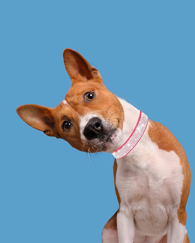 Dog Collar for Small Dogs, Adjustable Leather Suede Bling Dog Collars，Rose Red Dog Collar Cat Collar, Rhinestone Dog Collar (S, Rose red)