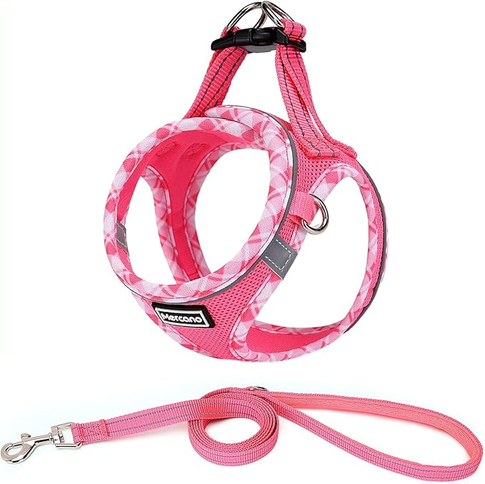 Mercano Soft Mesh Dog Harness and Leash Set, No-Chock Step-in Reflective Breathable Lightweight Easy Walk Vest Harnesses with Safety Buckle for Small Dogs, Cats (XS, Fuchsia)
