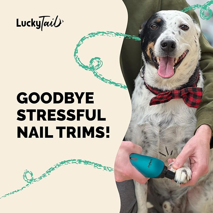 LUCKY TAIL Pet Nail Grinder for Dogs and Cats - Super Quiet and Low Vibration Electric Dog Nail Grinder with 2 LED Lights - USB Rechargeable and Cordless - 2 Speeds - Small to Large Pets - Teal