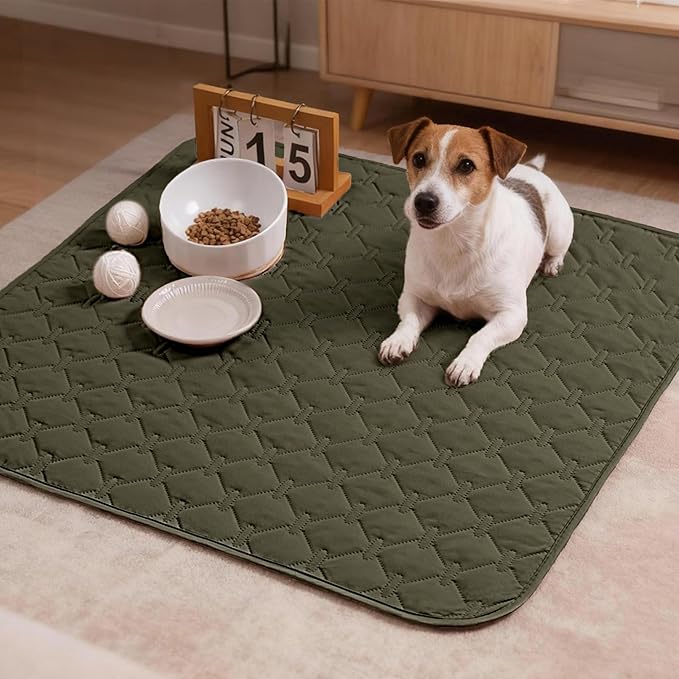 gogobunny 100% Double Sided Waterproof Dog Blanket Soft Pet Bed Cover Reversible Protect Furniture Couch Sofa Car for Puppy Large Dog Cat (Dark Olive/Light Olive, 30x30 Inch (Pack of 1))