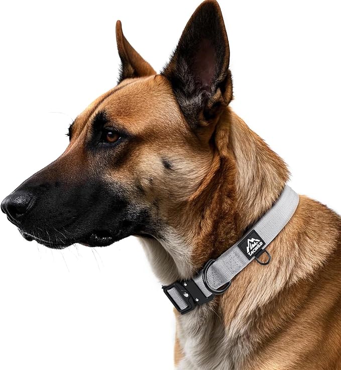 Dog Collar for Large Dogs - Adjustable, Chew Proof Nylon Collar with Metal Quick Release Buckle and D-Ring for Dog Tags (Alaska Daybreak)