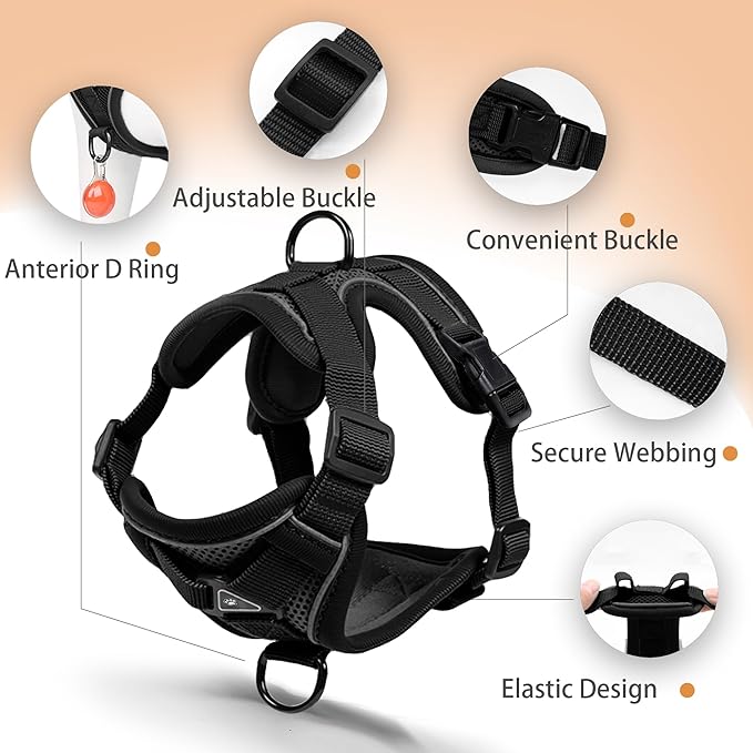 No Pull Dog Harness with Leash Set for Small Sized Dog, Reflective Adjustable No Choke Front Clip Cat Vest Harness with Breathable Mesh, Comfortable Soft Padded Pet Vest, Black S