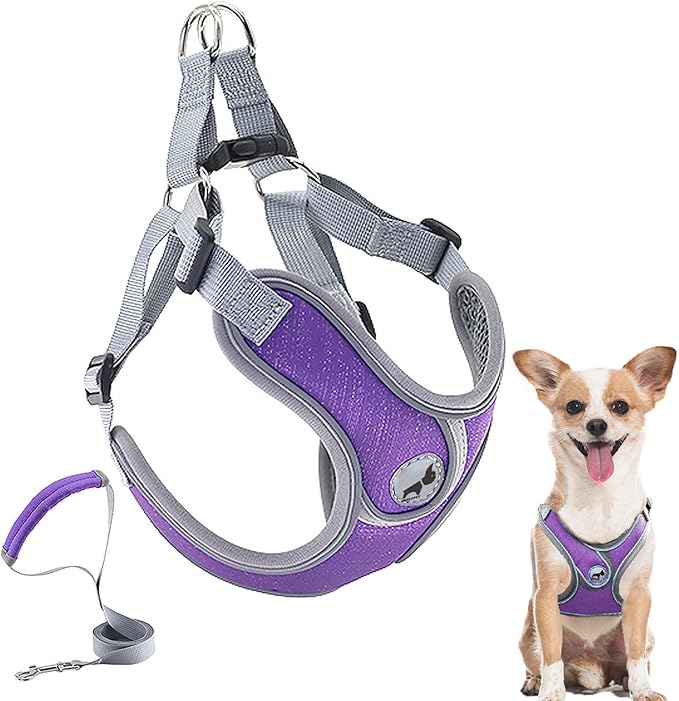 Dog Harness with Leash Set, No Pull Adjustable Step in Collars Harness with Breathable Padded Vest for Small Dogs Training and Running (S, Purple)