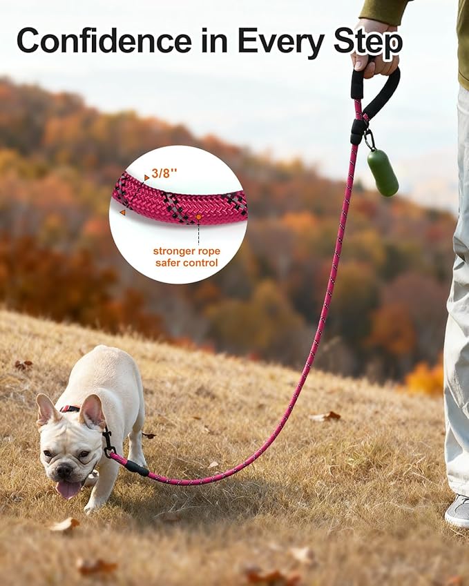 Joytale Dog Leash for Small Dogs, Heavy Duty Nylon Leashes with Comfortable Padded Handle and Highly Reflective Threads, Ideal for Walking and Training, Hotpink, 5'횞3/8''